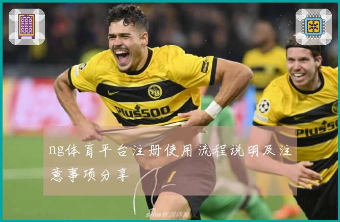 ng体育平台注册使用流程说明及注意事项分享