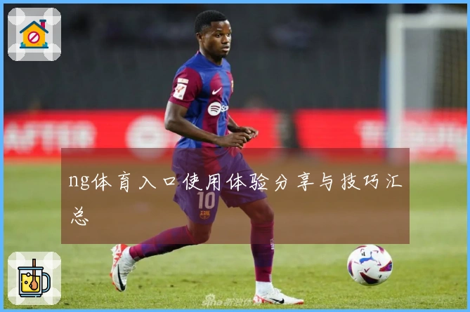 ng体育入口使用体验分享与技巧汇总