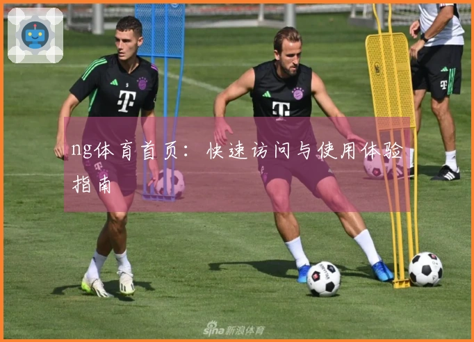 ng体育首页：快速访问与使用体验指南
